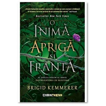 O inima apriga si franta (vol.2 din seria Distrugatorii de blesteme) (Corint)