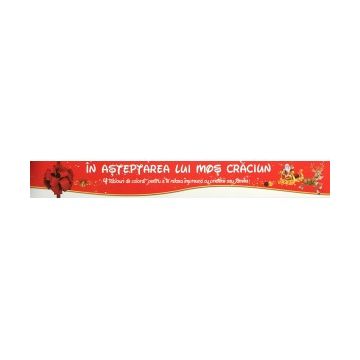 IN ASTEPTAREA LUI MOS CRACIUN - pentru copii