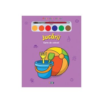 Miracolul culorilor. Jucarii (Prut)