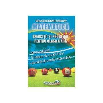 Matematica - exercitii si probleme pentru clasa a XI - a (Hyperion)