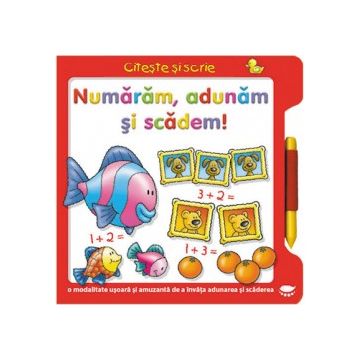 Numaram, adunam si scadem (Prut)