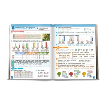 Matematica pentru clasa a IV-a (EDU)