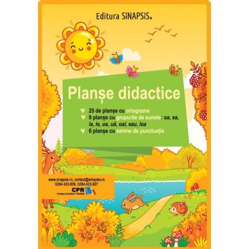 Planse didactice - Ortograme, grupuri de litere, semne de punctuatie (Sinapsis)