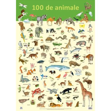 PLANSA - 100 DE ANIMALE