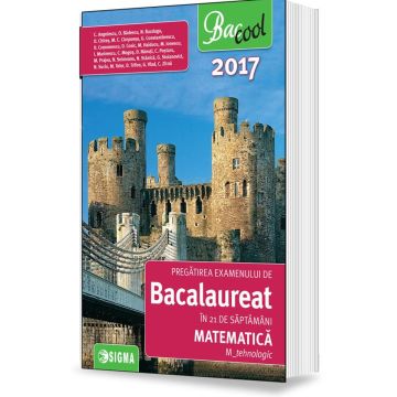 Bacalaureat 2017 -  Matematica - Profil tehnologic