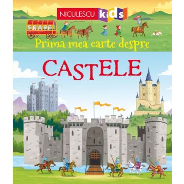 Prima mea carte despre CASTELE (Niculescu)