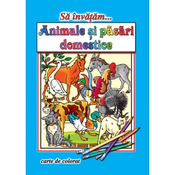 Sa Invatam... Animale Si Pasari Domestice (Cartex)