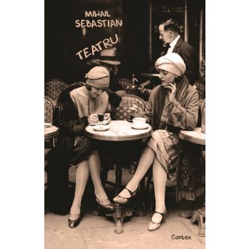 Teatru- Mihail Sebastian (Cartex)