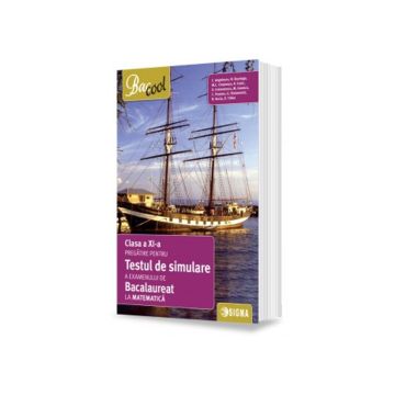 Testul de simulare a examenului de Bacalaureat 2017 - Matematica