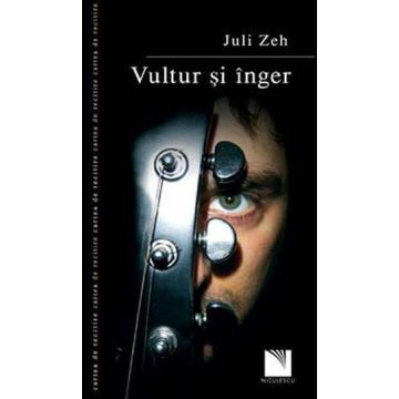 Vultur si inger