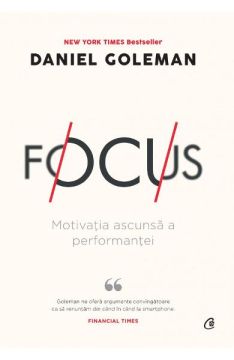 Focus (Curtea veche)