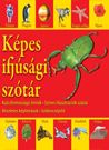 Dictionar vizual pentru cei mici - limba maghiara (Aquila)