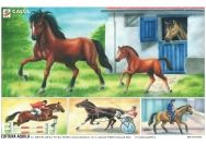 Plansa Calul/Vaca - 50 x 70 cm (Aquila)