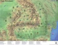 Mapa de birou flora/fauna - 50 x 70 cm (Aquila)