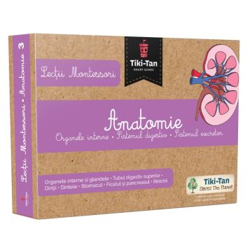 Lectii de anatomie: Organe interne. Sistemul digestiv (Gama)