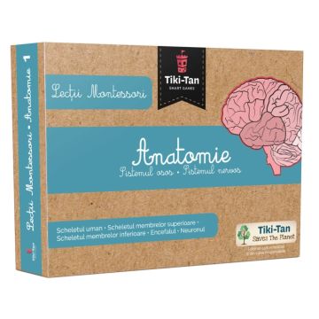 Lectii Montessori - Anatomie: Sistemul osos • Sistemul nervos (Gama)