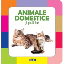 Animale domestice si puii lor (Prut)