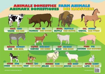 Plansa Animale Domestice (Ars Libri)