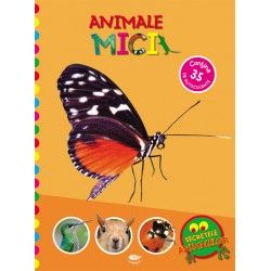 Animale mici. Secretele animalelor (Prut)