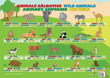 Plansa Animale Salbatice (Ars Libri)