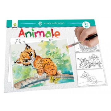  Animale- PRIMELE MELE PICTURI (GAMA)