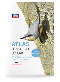 Atlas ornitologic scolar de buzunar (CD Press)