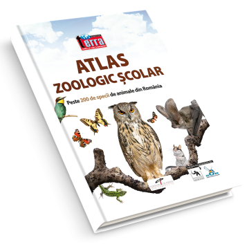 Atlas zoologic scolar (CD Press)