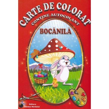 Bocanila - Carte de colorat (Steaua Nordului)