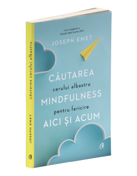 Cautarea cerului albastru: Mindfulness pentru fericire aici si acum (Curtea veche)