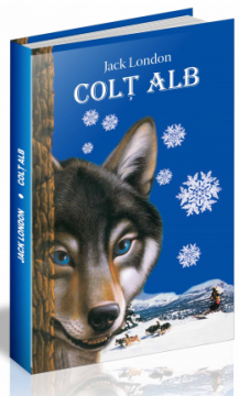 Colt Alb (Steaua Nordului)