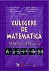 Culegere de matematica - clasa a VI-a
