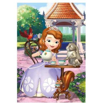 Dino Toys Puzzle - Printesa Sofia si prietenii (24 piese)