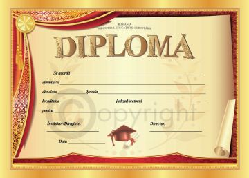 Diploma D3 2025 (Joy)