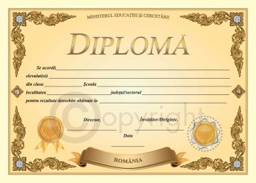 Diploma D5 2025 (Joy)