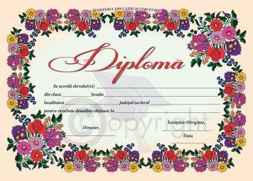 Diploma D8 2025 (Joy)