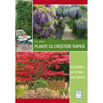 Plante cu crestere rapida - in gradina, pe terasa sau balcon (Casa)