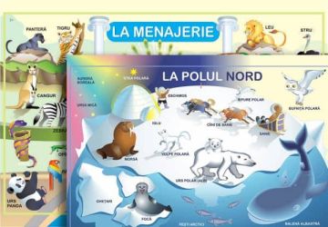 La menajerie, La Polul Nord; planse (Epigraf)