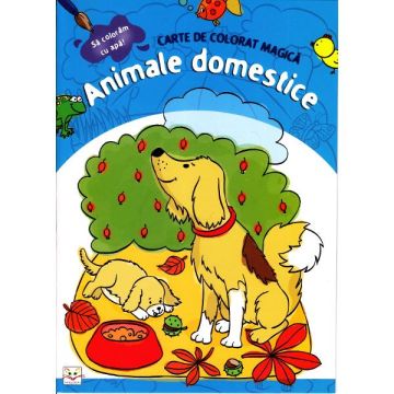 Sa coloram cu apa! - Animale domestice - Carte de colorat magica (Kreativ)