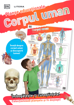 Corpul uman. Planse educationale (Litera)
