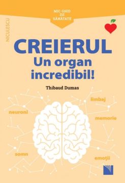 Mic ghid de sanatate: Creierul. Un organ incredibil!