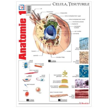 Pliant Anatomie 1 (Booklet)