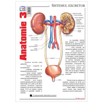 Pliant Anatomie 3 (Booklet)