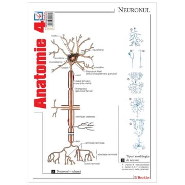 Pliant Anatomie 4 (Booklet)