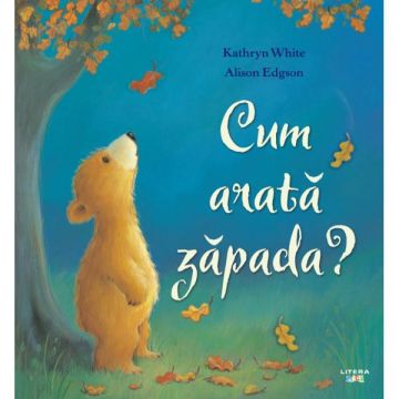 Cum arata zapada? (Litera)