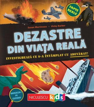Dezastre din viata reala. Investigheaza ce s-a intamplat cu adevarat (Niculescu)