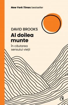 Al doilea munte (Curtea Veche)