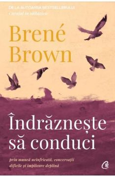 Indrazneste sa conduci (Curtea Veche)