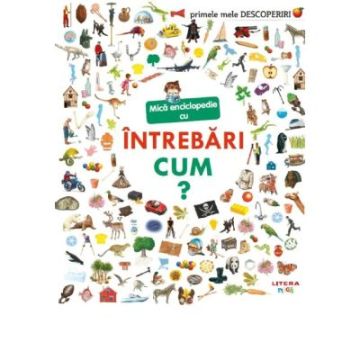Primele mele descoperiri. Mica enciclopedie cu intrebari. Cum? (Litera)