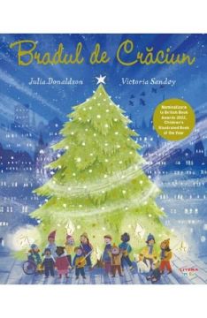 Bradul de Craciun (Litera)