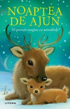 NOAPTEA DE AJUN. 10 povesti magice cu animalute (Litera)